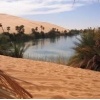 قبر عون
