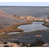 واو الناموس
